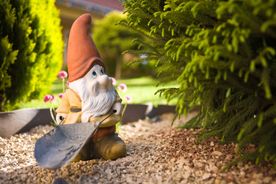 Garden Gnome on top of decorative stone